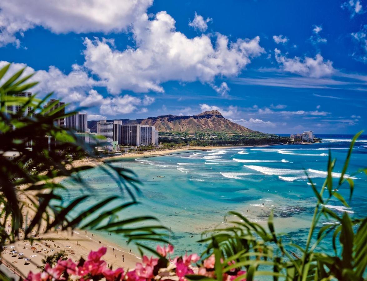 Cozy & Diamond Head View At Waikiki With Parking Daire Honolulu Dış mekan fotoğraf